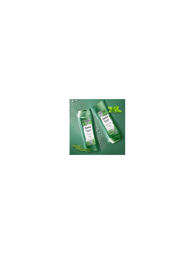 Shampoing et Conditioner Romarin et Menthe